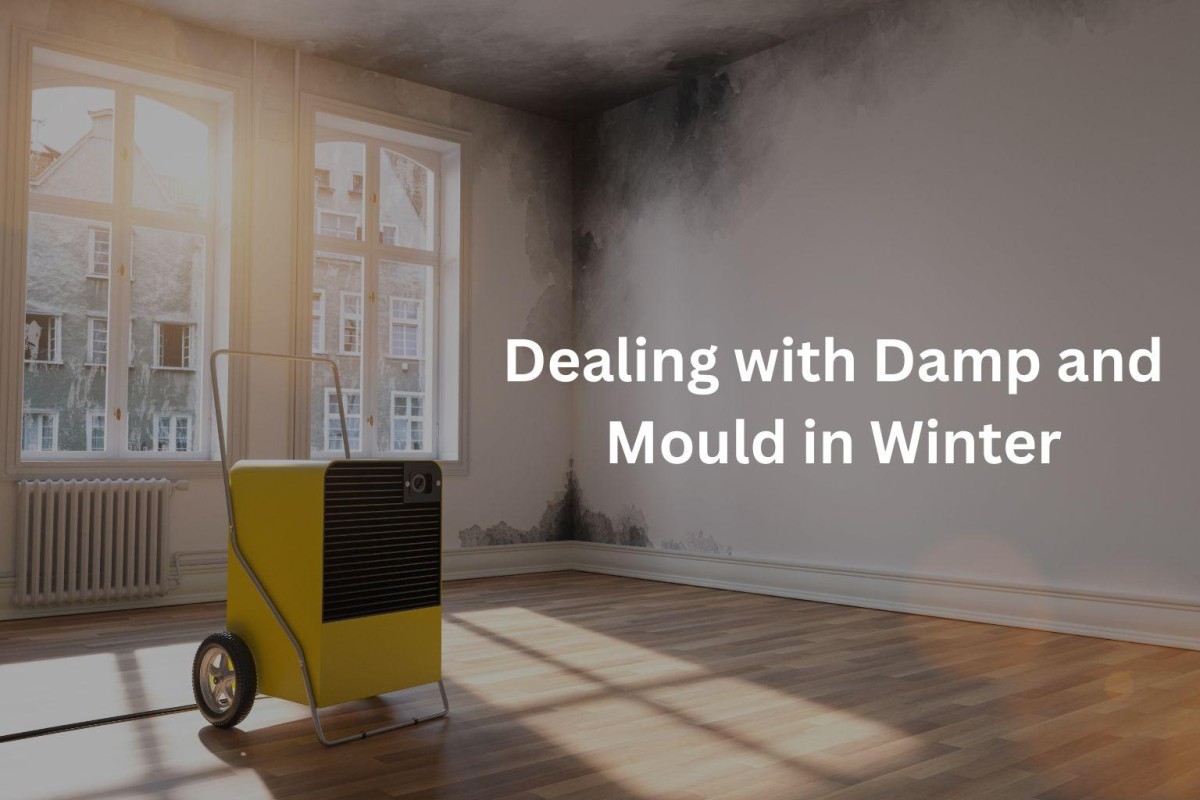 Dealing with Damp and Mould in Winter: Your Essential Guide