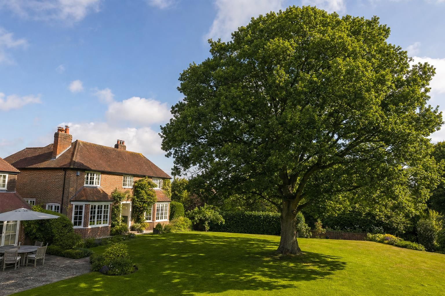 Tree Surgeon Costs