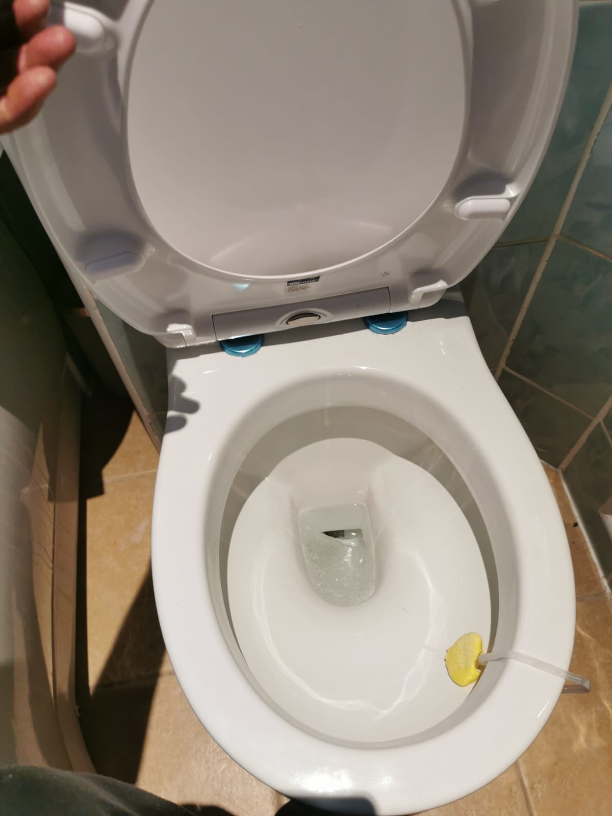 no alt tag provided