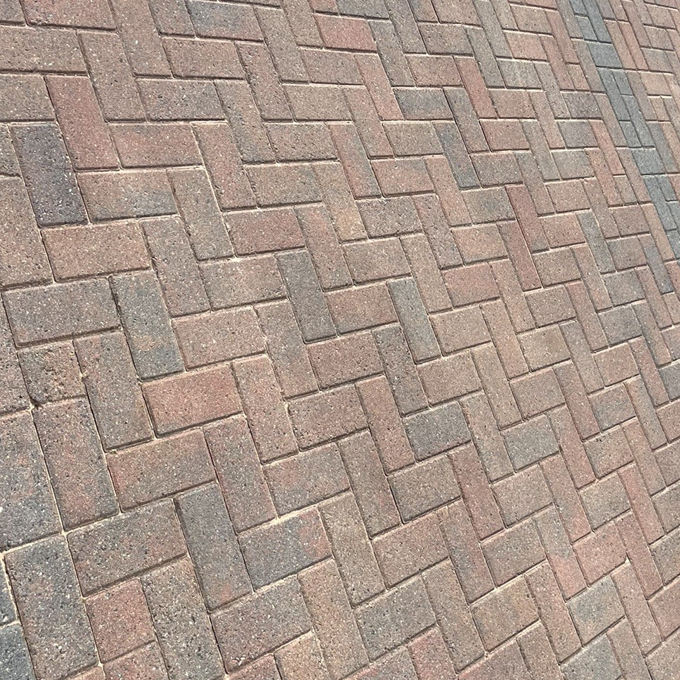 no alt tag provided