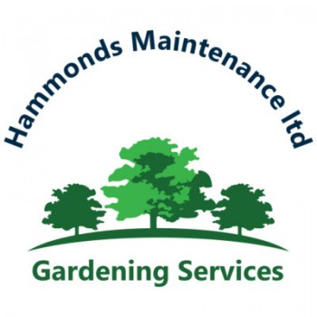 Hammonds Maintenance ltd 