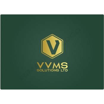 Vvms Solutions Ltd