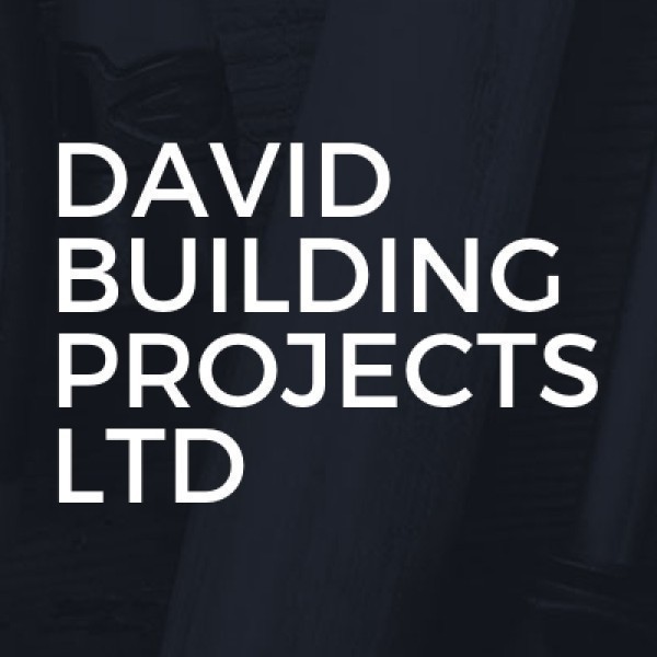 DAVID BUILDING PROJECTS LTD logo