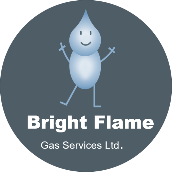 Bright Flame Gas Services Ltd logo