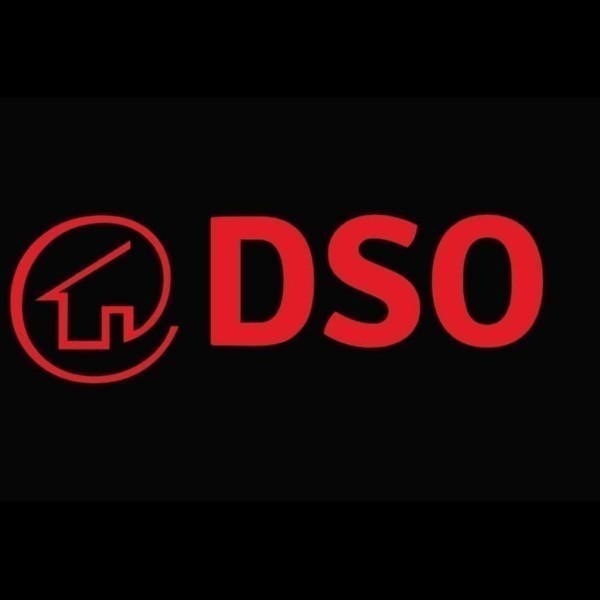 DSO BUILDING LTD logo