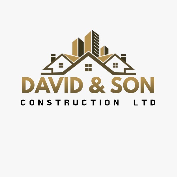 David & Son Construction Ltd logo