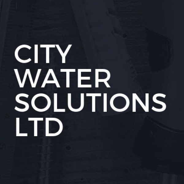 CITY WATER SOLUTIONS LTD logo