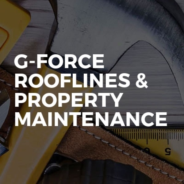 G-FORCE Rooflines & Property Maintenance