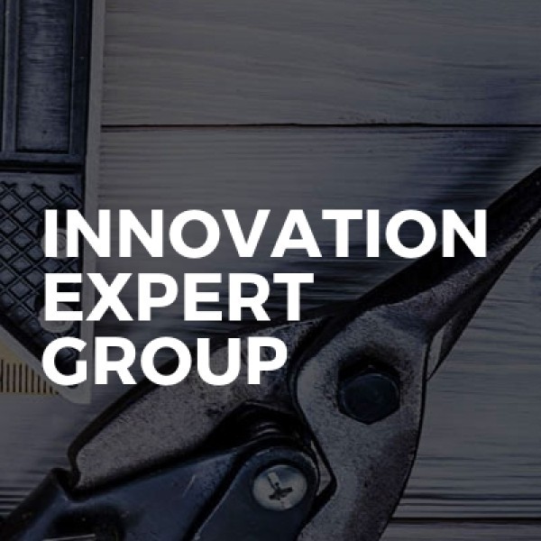 Innovation Expert Group LTD logo