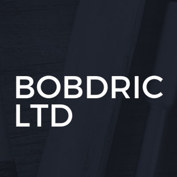 Bobric Ltd logo