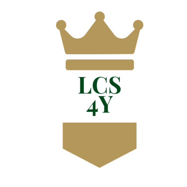 Luxury Construction Services 4 You LTD logo