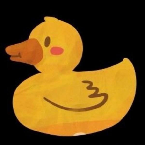 Duck Electrical logo
