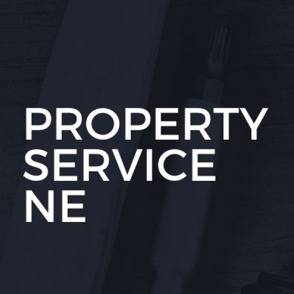 Property Service NE Ltd logo