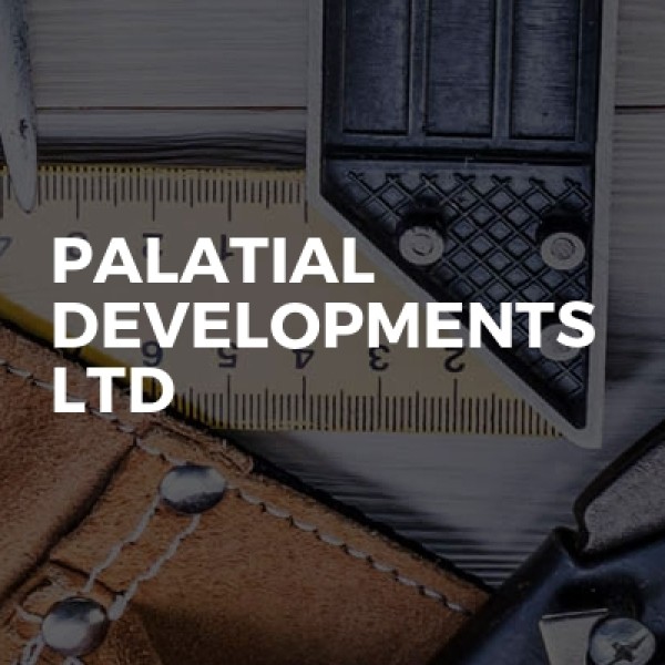 Palatial Developments Ltd logo