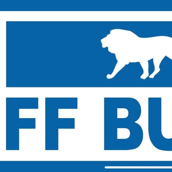 FF Build Ltd logo