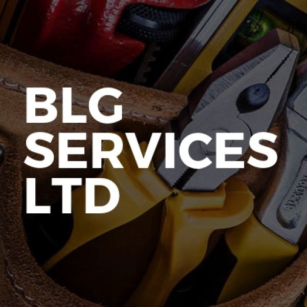 BLG SERVICES LTD logo