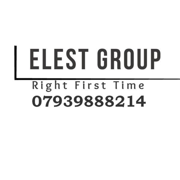 Elest Group Ltd logo
