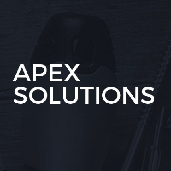 Apex Solutions logo