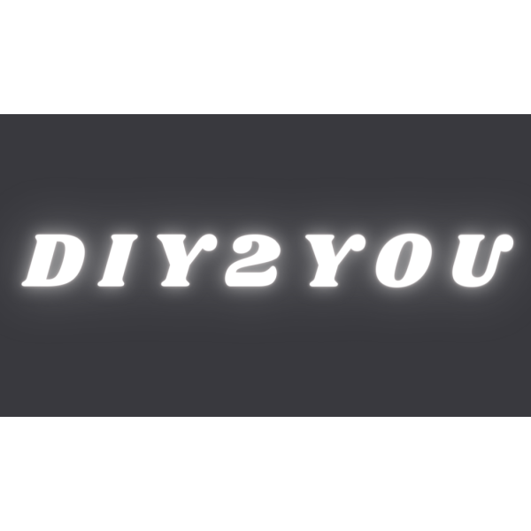 DIY2YOU logo