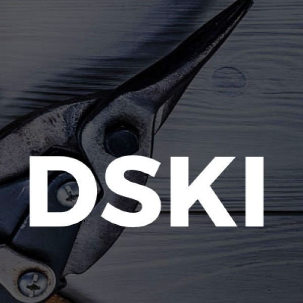 DSKI logo