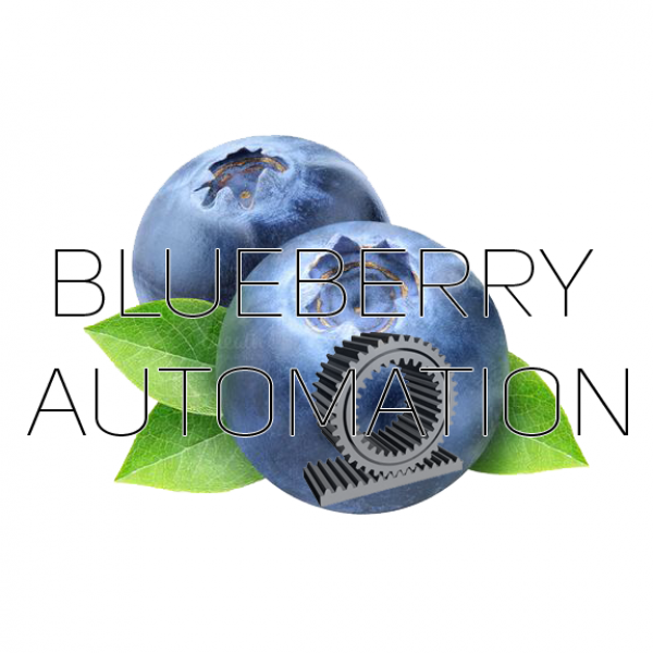 Blueberry Automation