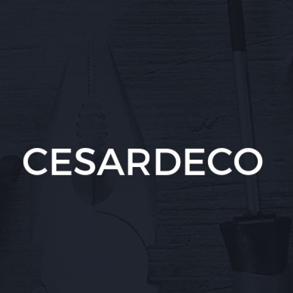 CesarDeco logo