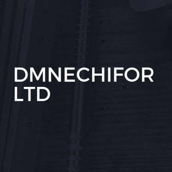 DMNECHIFOR LTD logo