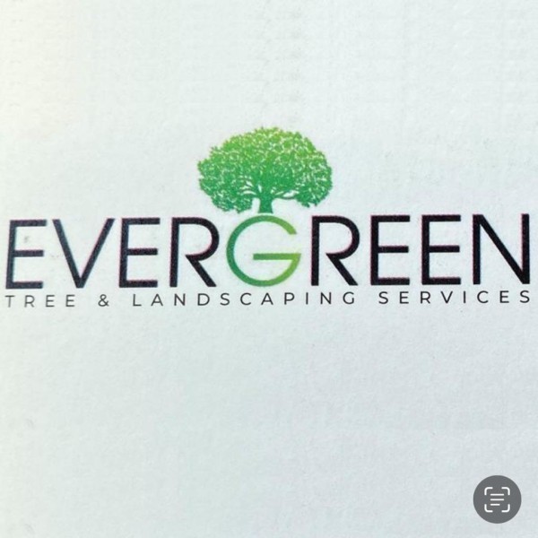 Evergreen tree&landscaping services logo