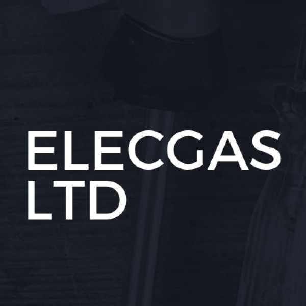 Elecgas Ltd logo