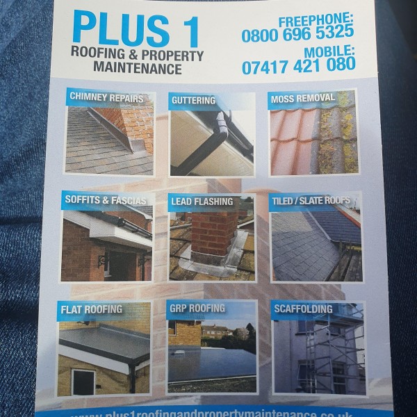 Plus 1 roofing and property maintenance ltd