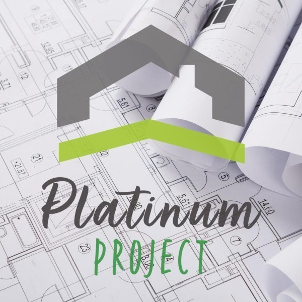 Platinum Project logo