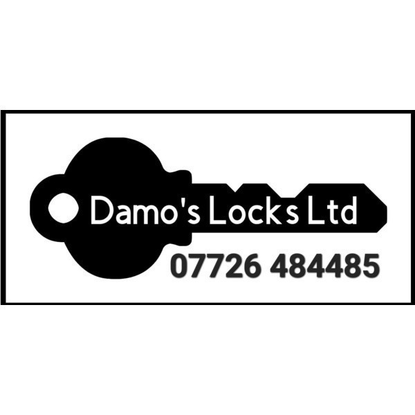 Damo's Locks Ltd logo