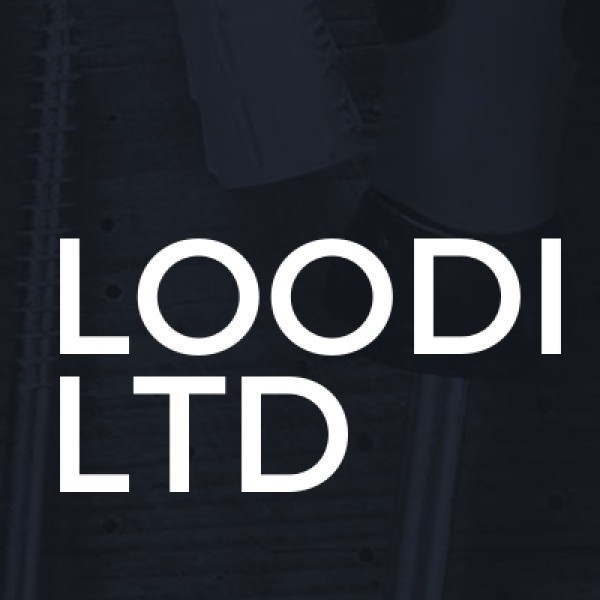 Loodi Ltd logo