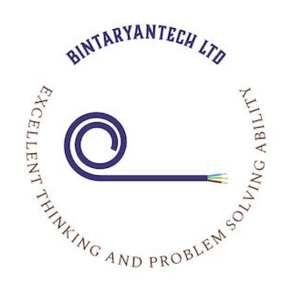 BINTARYANTECH LIMITED logo