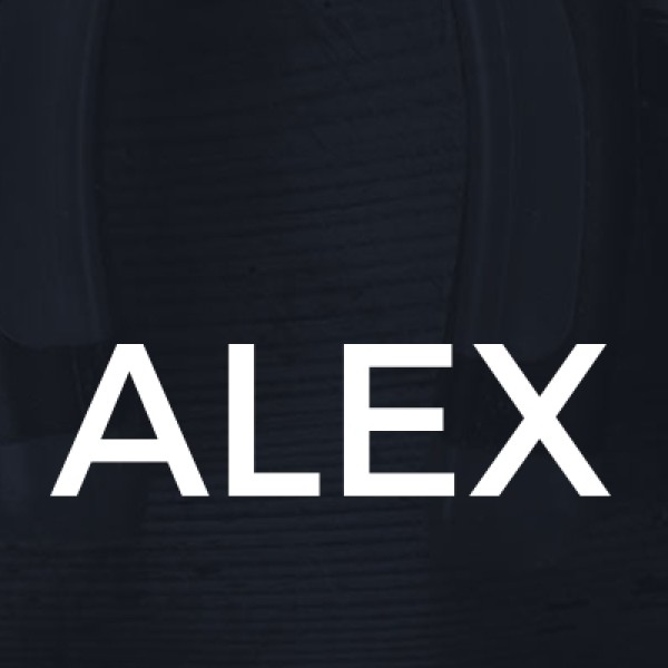Alexandru Building & maintenance  logo