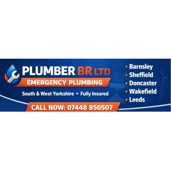 PLUMBING BR LTD logo