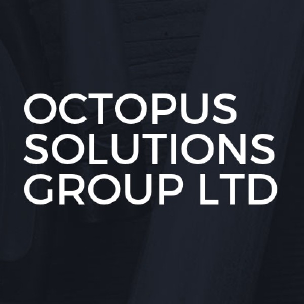 Octopus Solutions Group Ltd logo