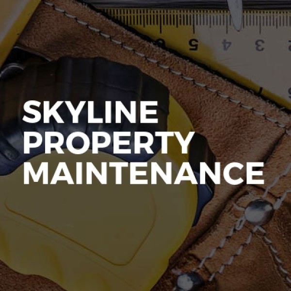 Skyline property maintenance