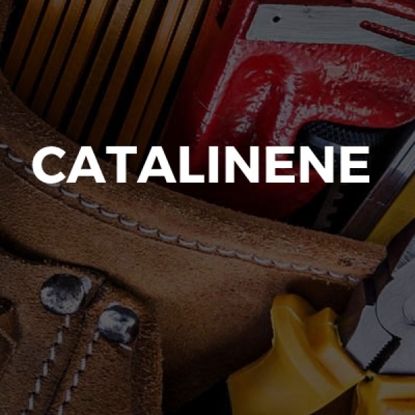 CatalinEne