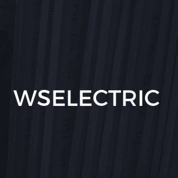 WS Electric logo