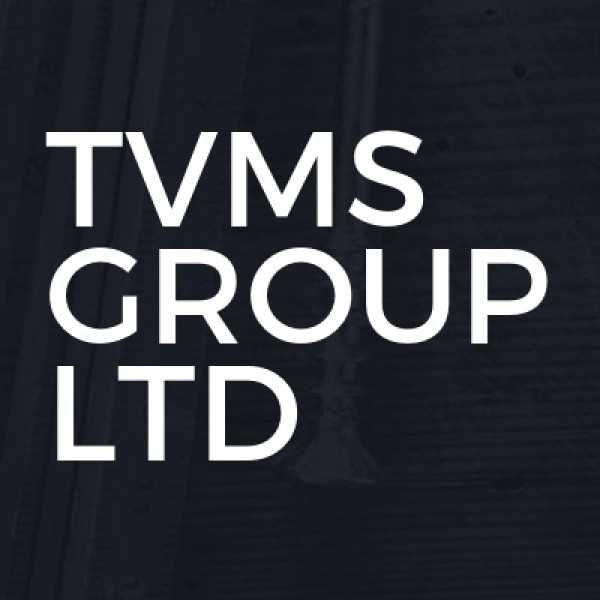 TVMS Group Ltd logo