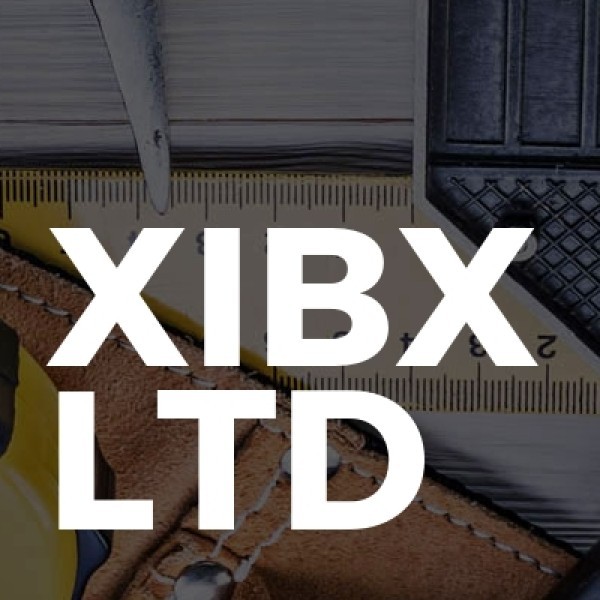 XIBX Ltd logo