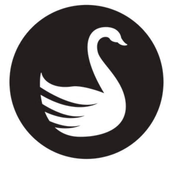 The Ugly Duckling Building Company Ltd logo