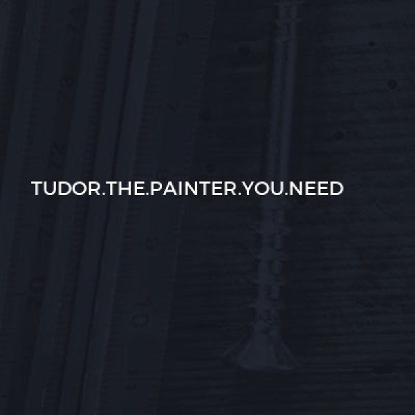 Tudor.the.painter.you.need logo