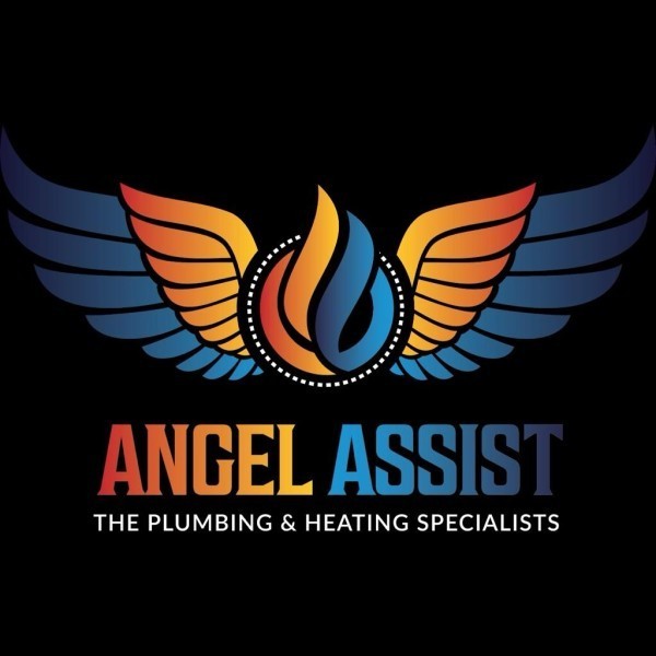 Angel Assist Ltd logo
