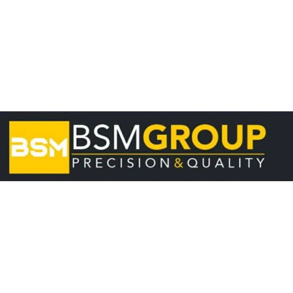 BSM Group Ltd logo