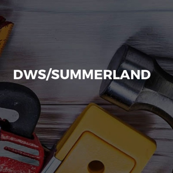 Dws/summerland logo