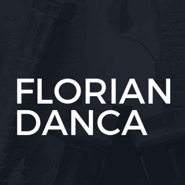 Florian Danca Painting logo