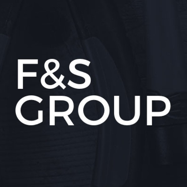 F&S Groupe logo