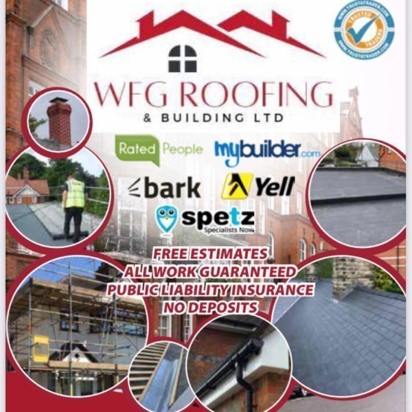 WFG Roofing & Building LTD logo
